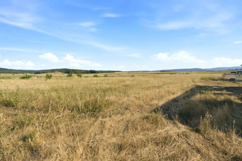 Gro�z�giges Baugrundst�ck mit eigener Zufahrt ? 1.175 m� und bis zu zwei Wohneinheiten /  / 2111&nbsp;Harmannsdorf / Bild 12